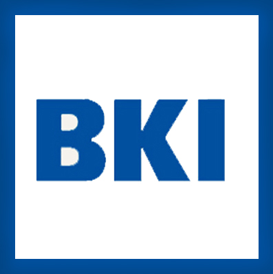 BKI Geprüfte Ausschreibungstexte - Optimal für Kostenplanung, Ausschreibung und Vergabe nach VOB 2019